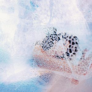 男人手婬出精过程Gay
