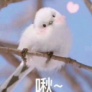 男人手婬出精过程Gay
